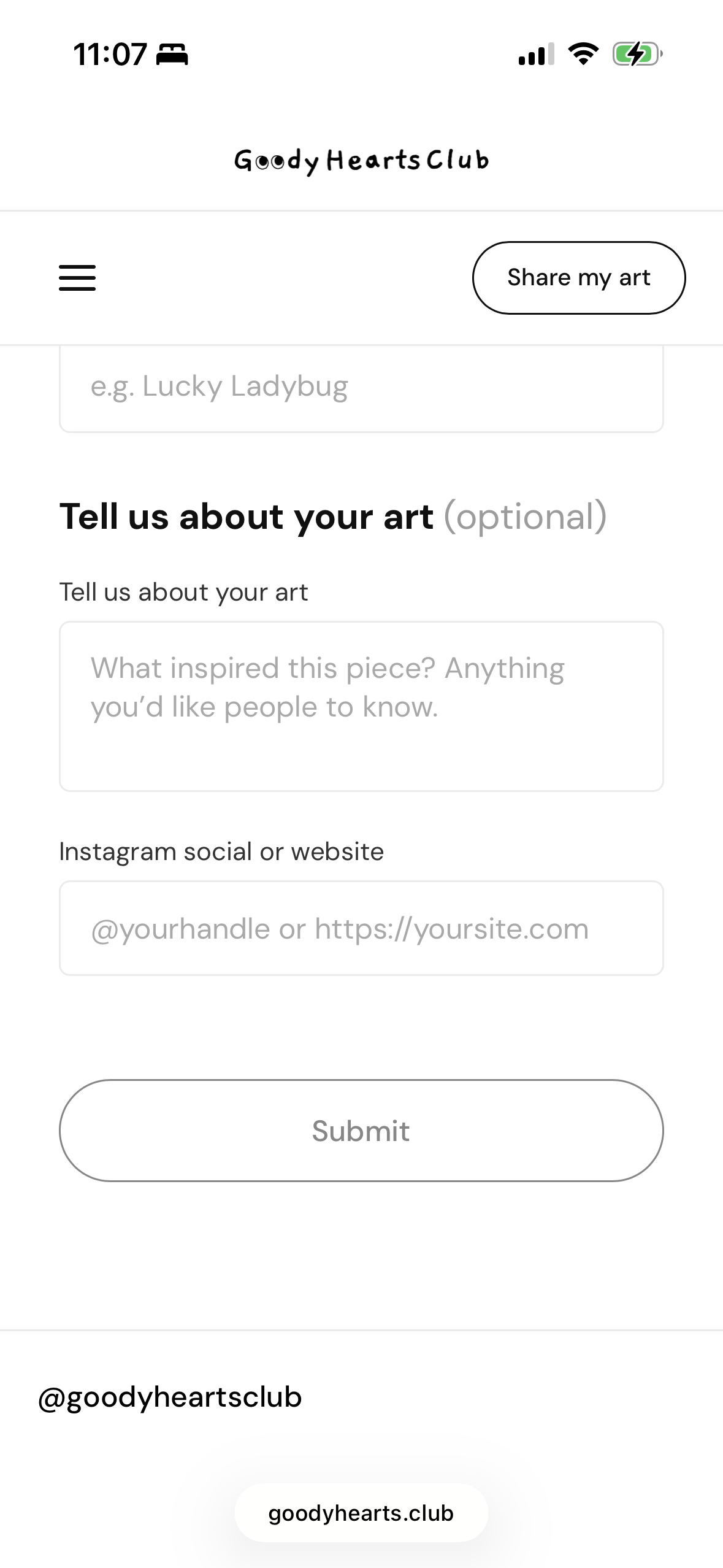 Optional connection and story form fields on the submission flow
